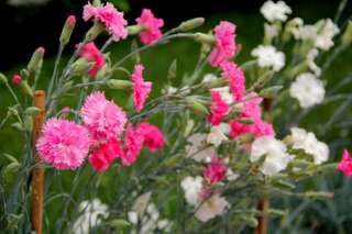 Апартаменты Cozy Apartment Sun Херцег-Нови Апартаменты-16