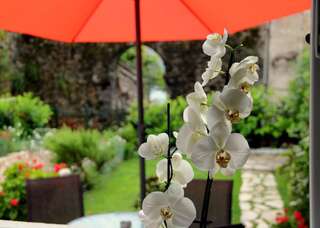 Апартаменты Cozy Apartment Sun Херцег-Нови Апартаменты-30